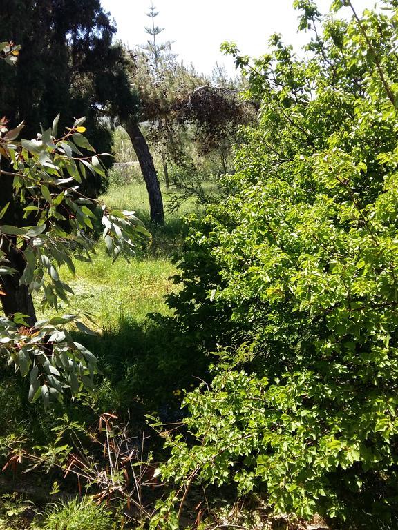Naxos Olive & Home Engaraí Esterno foto