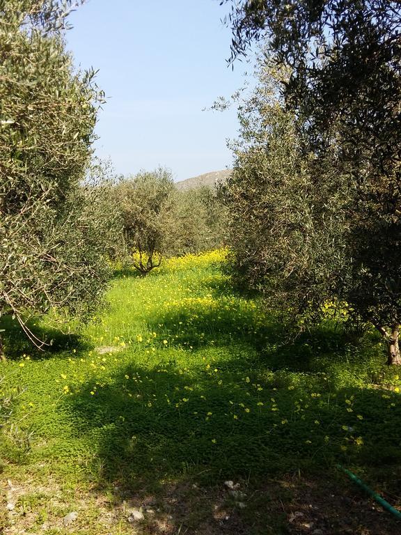 Naxos Olive & Home Engaraí Esterno foto